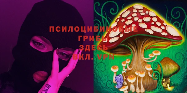 jwh Сосновый Бор