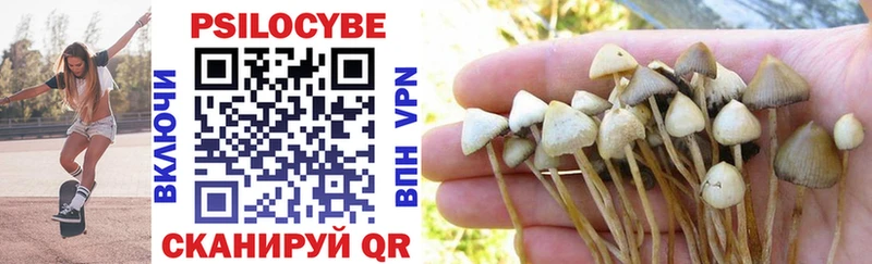 Псилоцибиновые грибы Cubensis  продажа наркотиков  Каргополь 